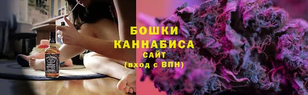 прущие грибы Инта