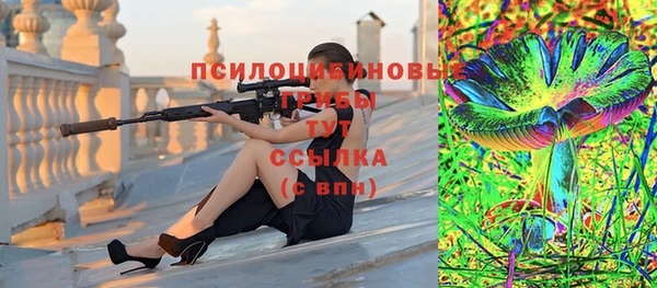 дживик Михайловск