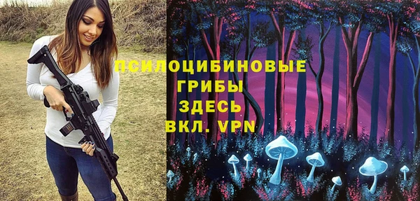 метадон Михайлов