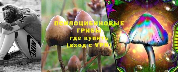 метадон Михайлов